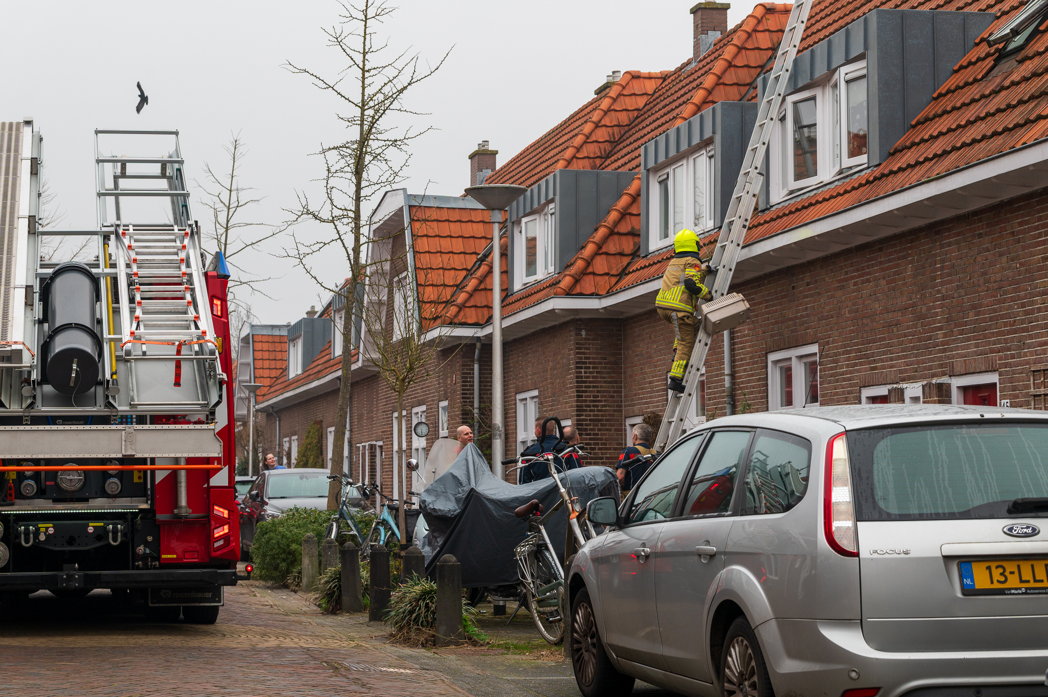 _DSC0854 - ZwolleInside