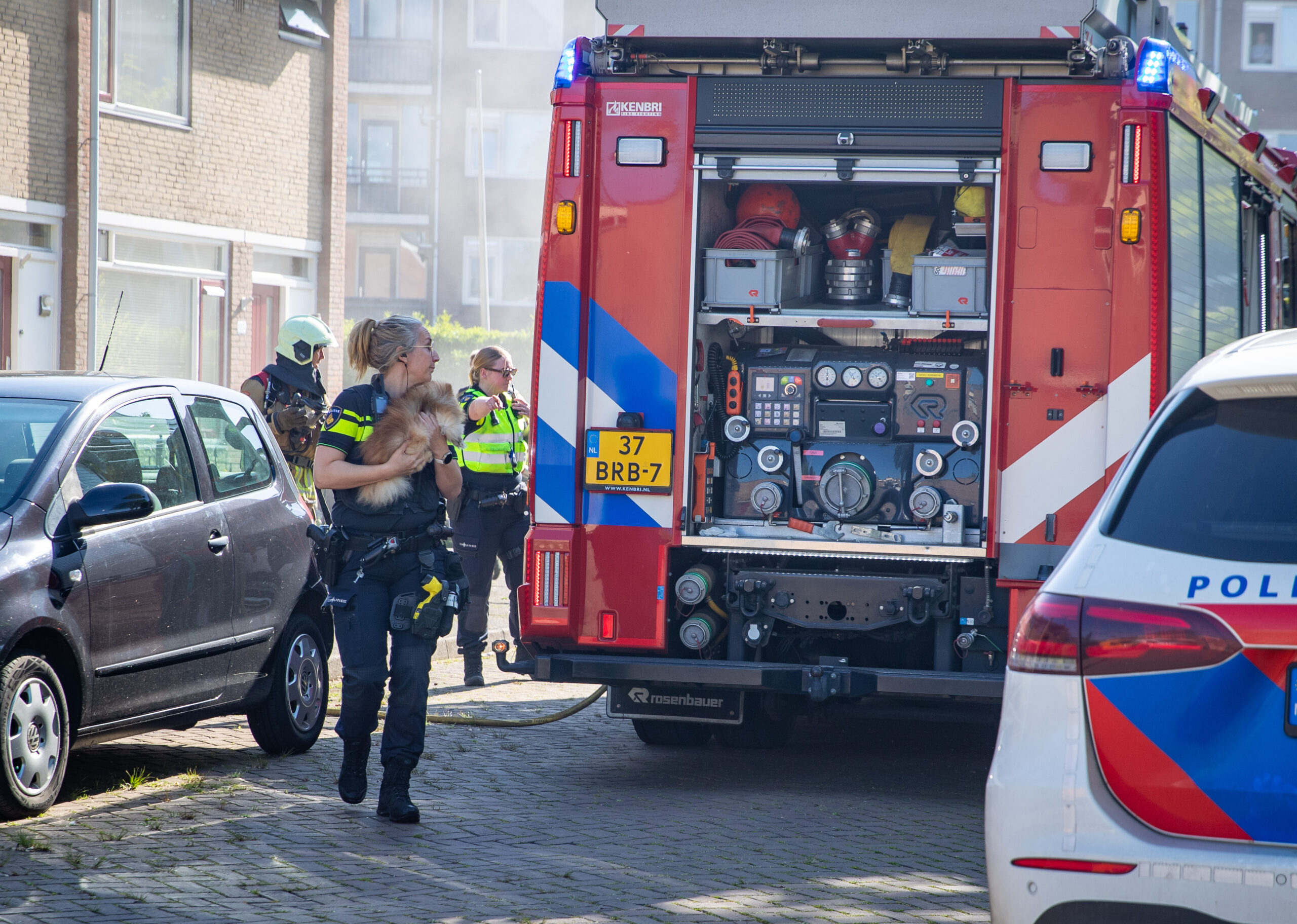 Hondje gered uit brandende woning aan de Amer