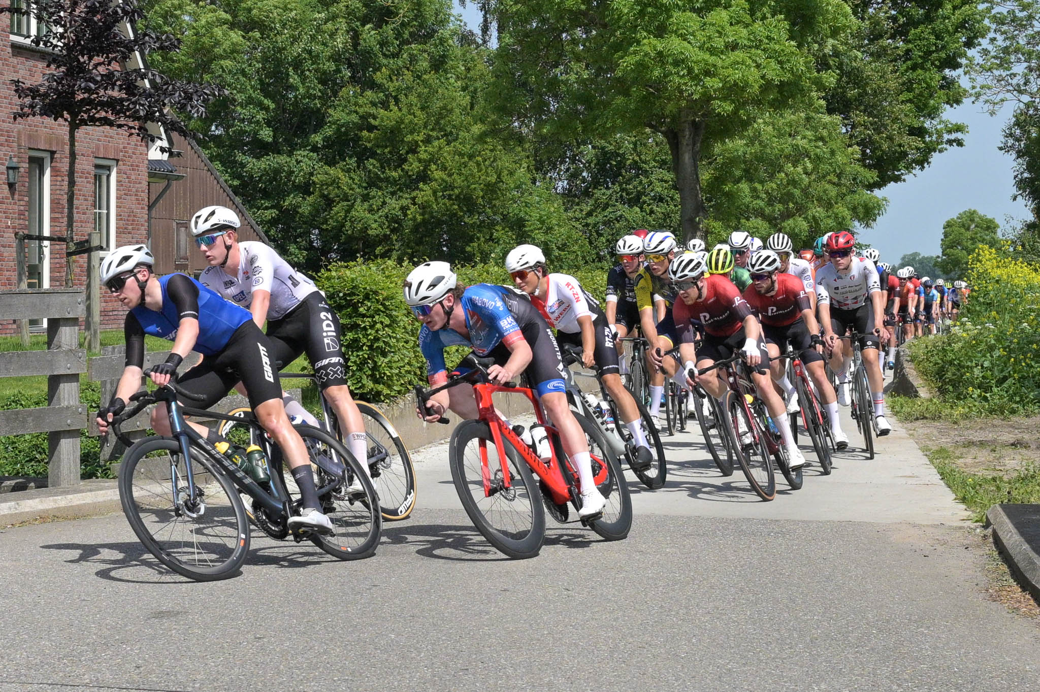 Hanzerenners drukken stempel op mannenkoers Omloop van Zwartewaterland