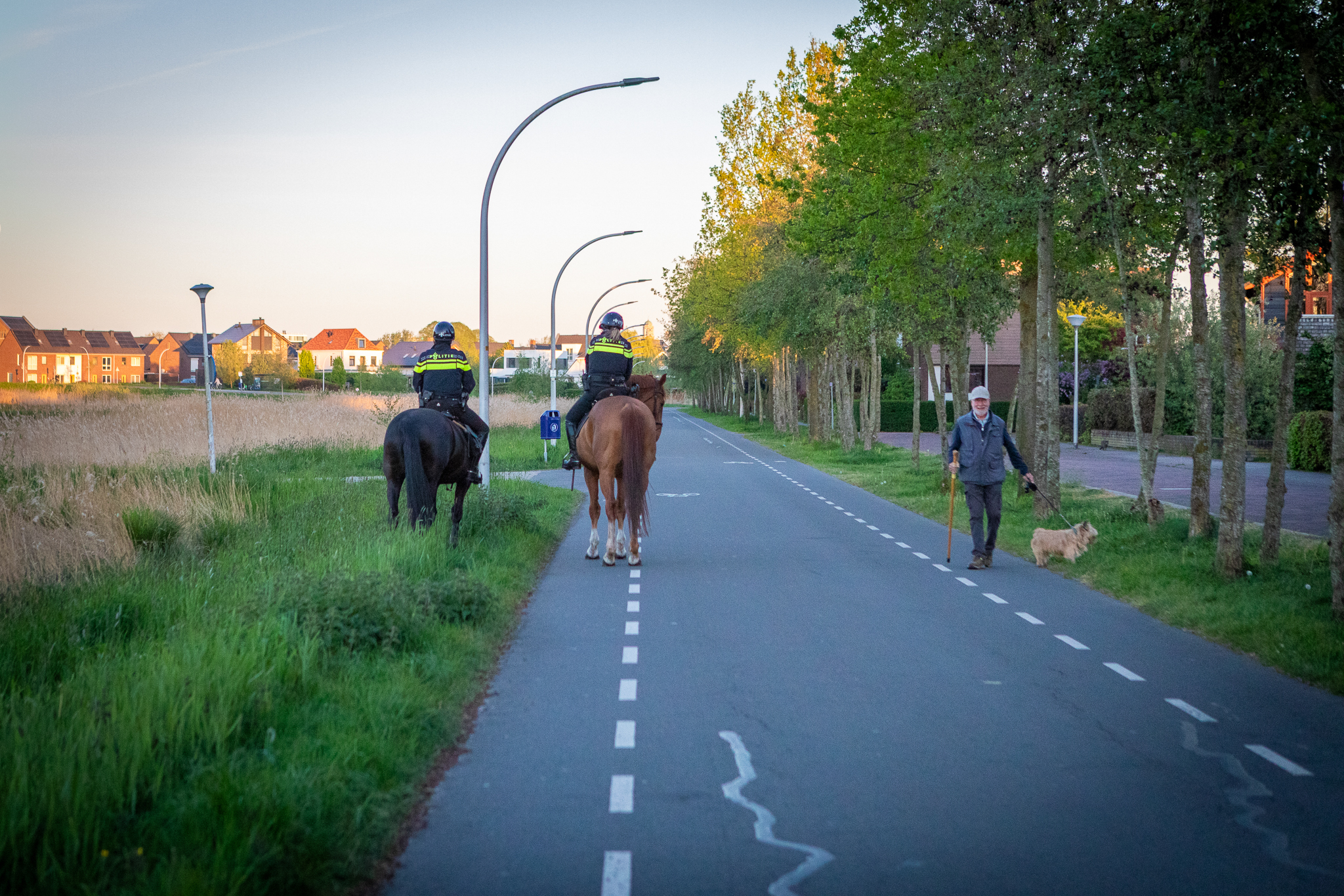 zoekactie paarden stadshagen 30-4-2026 1 - ZwolleInside