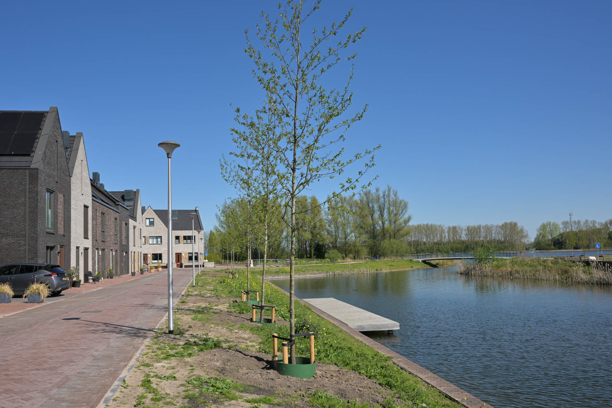 Hooikoorts telt mee, maar krijgt geen prioriteit bij Zwolse boomaanplant