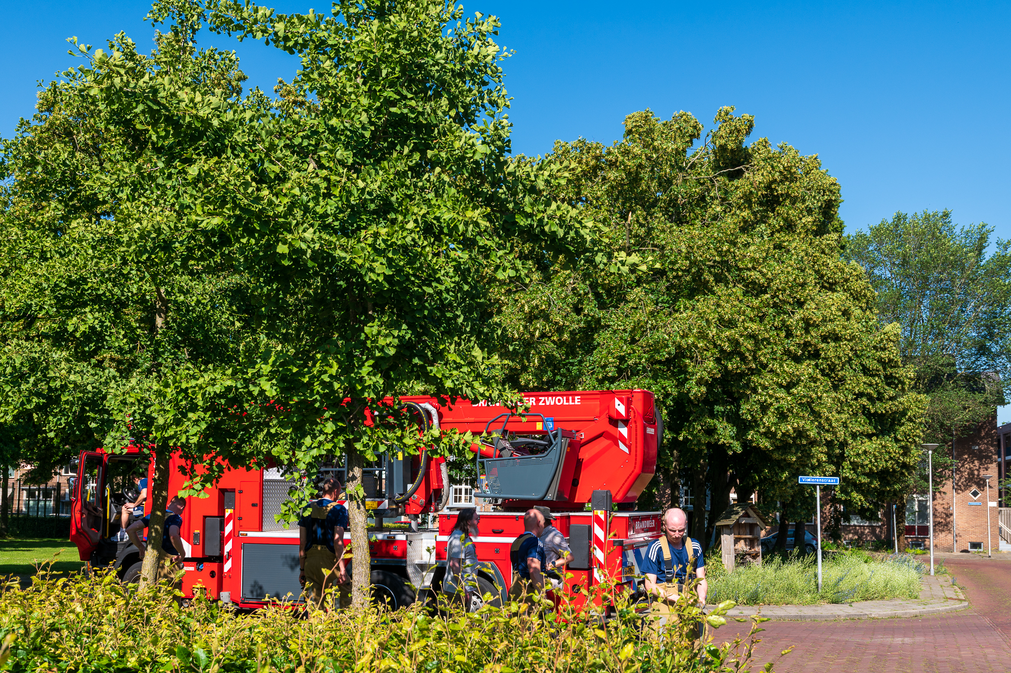 Brandweer zaagt gevaarlijk loshangende takken uit bomen in Pierik