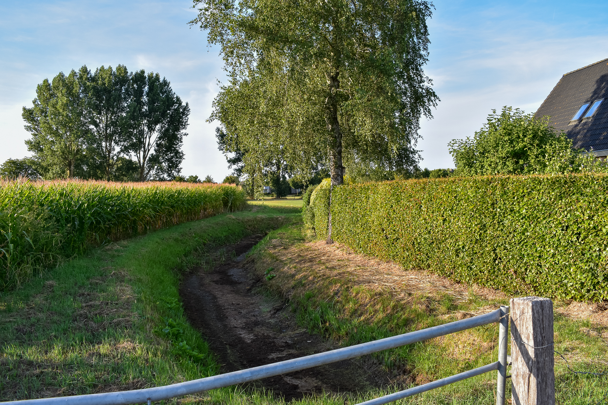 D66 en CDA willen steviger Zwols beleid tegen droogte