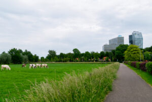 SP: tuinders dreigen grond onnodig kwijt te raken aan Voedselbos