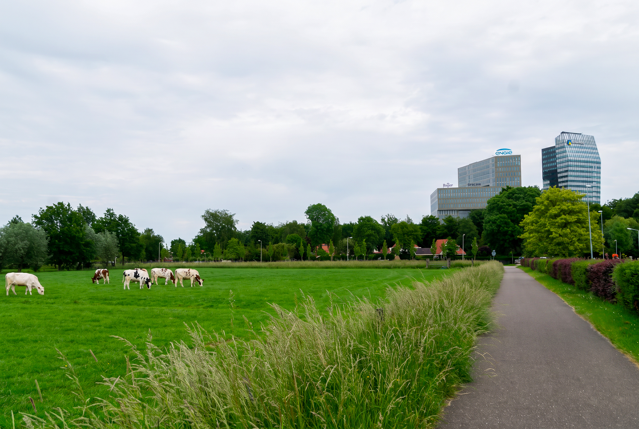 Stadspartij en CDA springen in de bres voor biologische tuinders in Spoolde