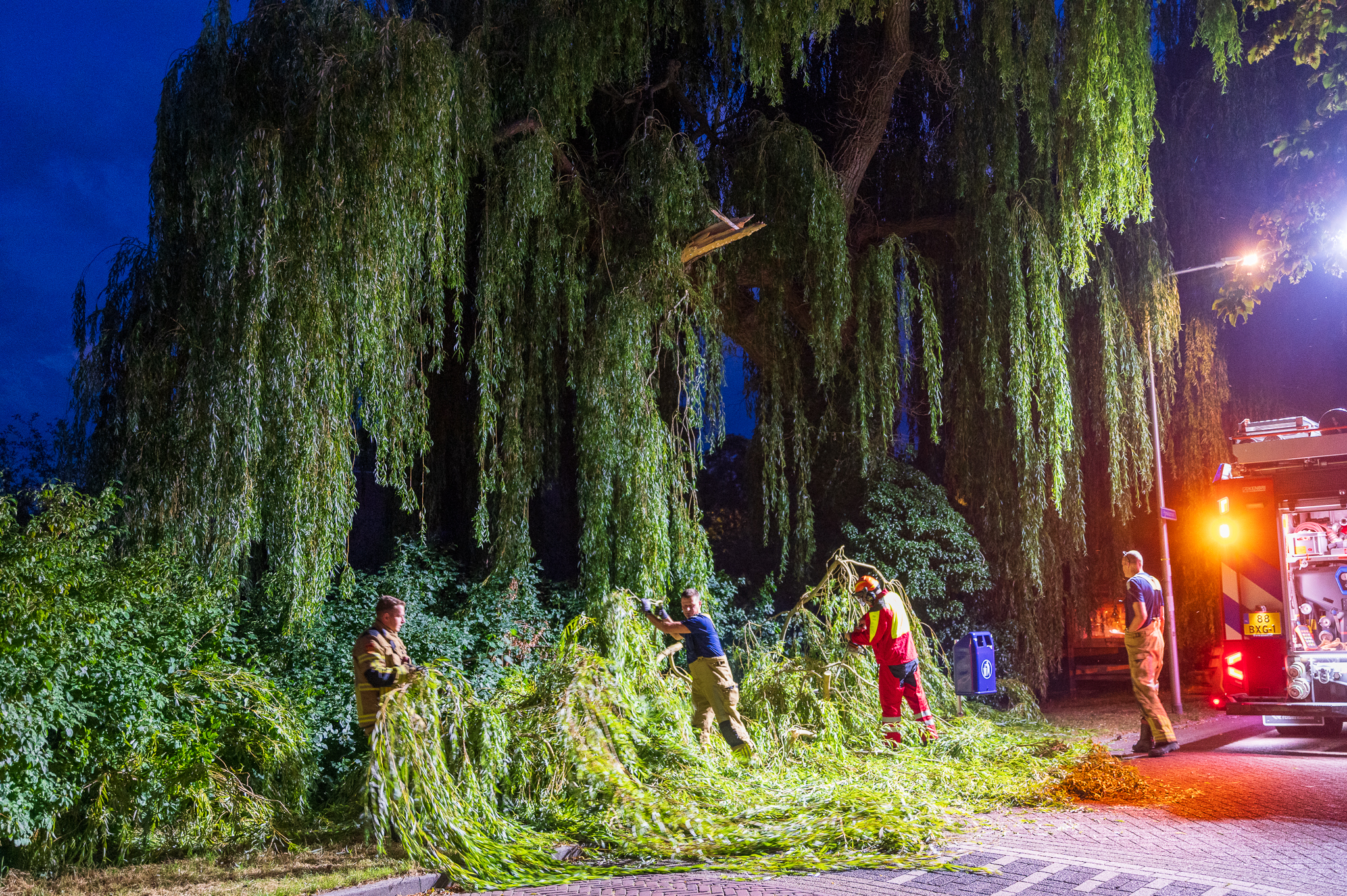 Grote tak breekt op windstille avond af in Pierik, mogelijk zomertakbreuk door droogte