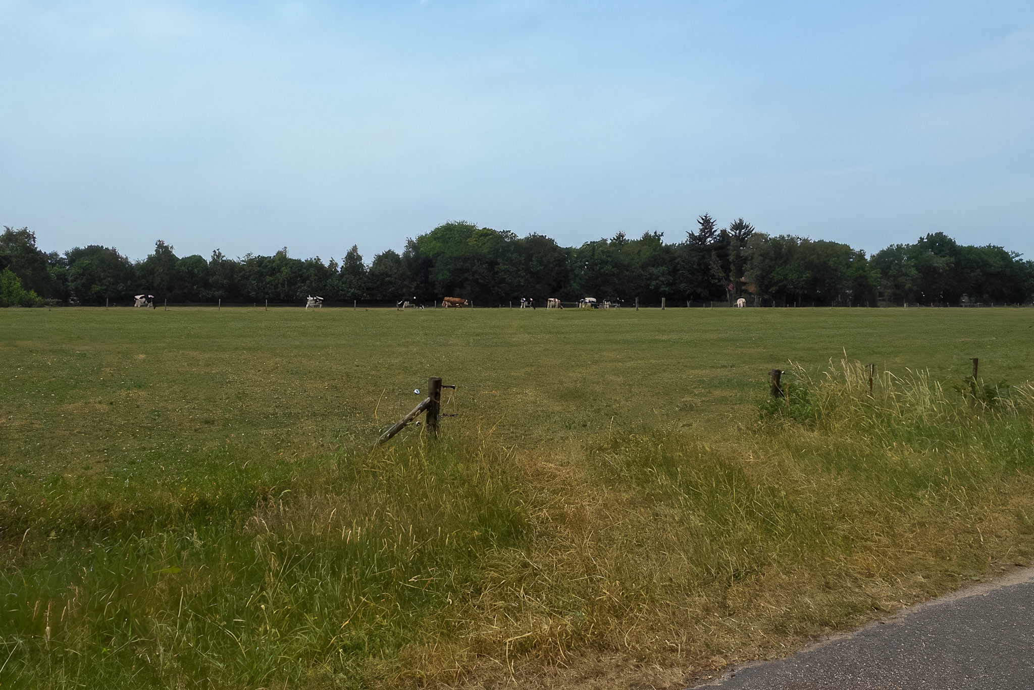 Duizenden woningen in Vechtrand, maar wegen en stroomnet zijn er nog niet klaar voor