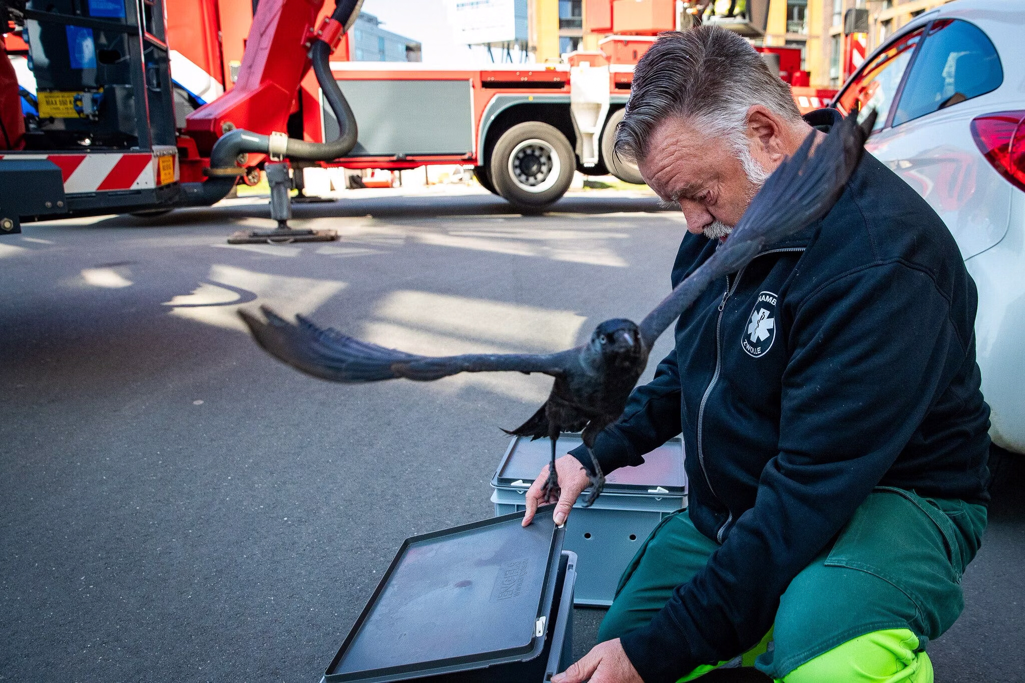 Dierenambulance Zwolle houdt digitale collecte voor dierenhulp