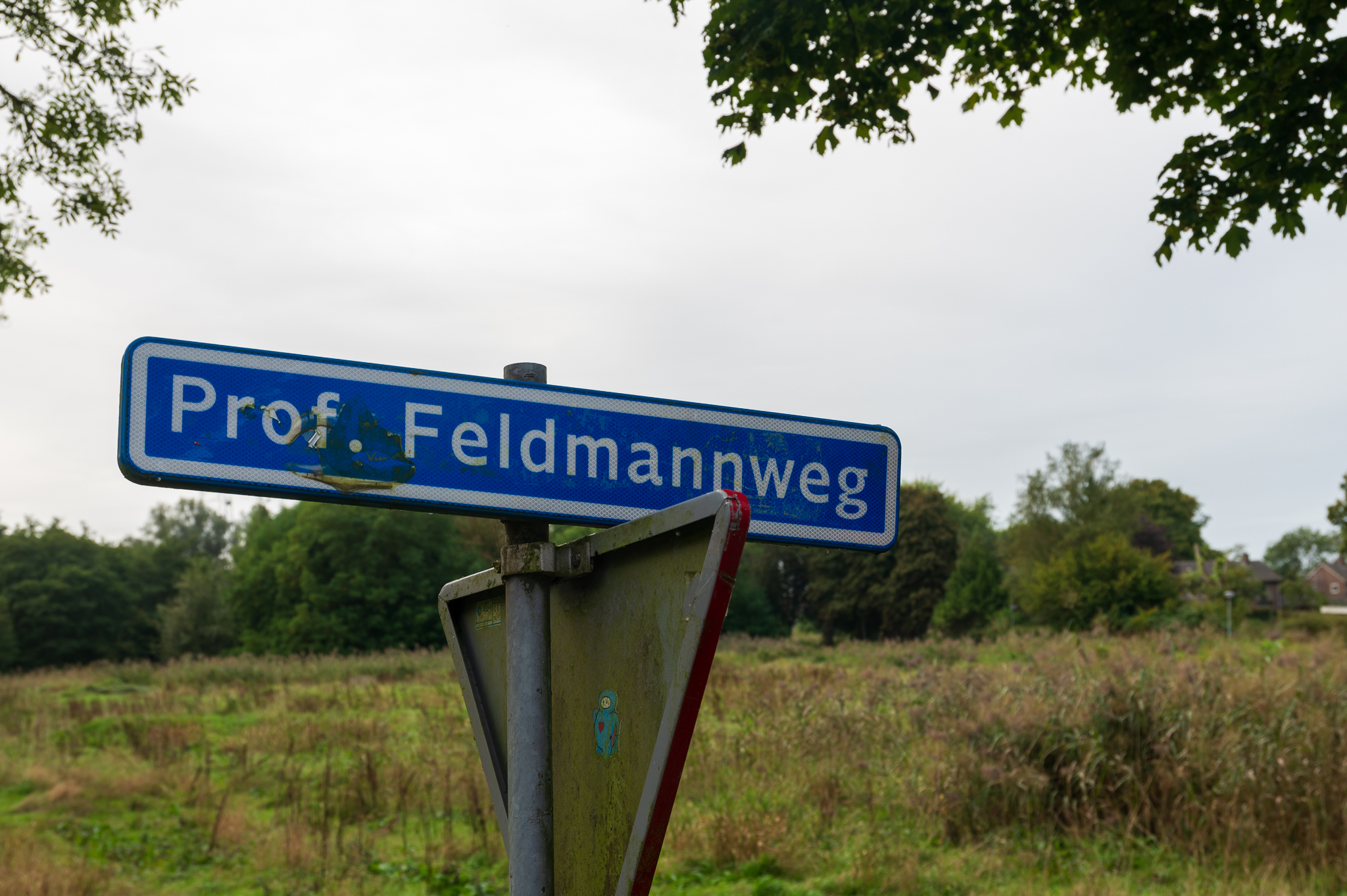 Werkgroep Zwolle-Zuid klaagt opnieuw over uitblijven informatie over asielopvang