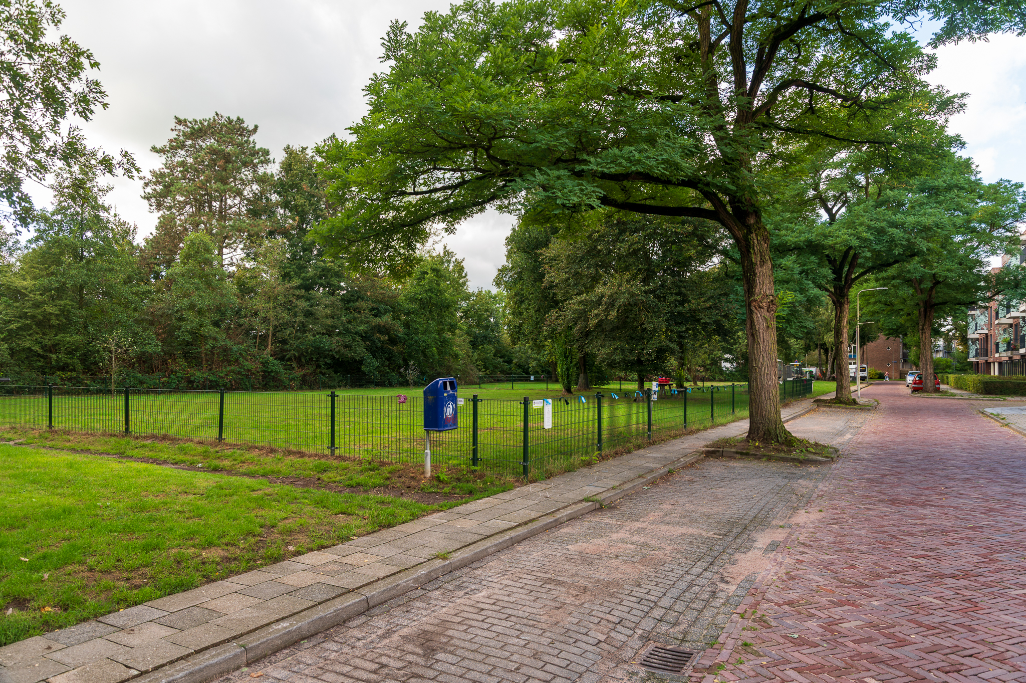 Zwolle wil hondenlosloopterrein in Pierik verplaatsen vanwege overlast