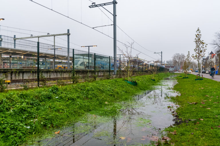 Nog 51.000 euro beschikbaar voor wateropvang en vergroening in Zwolle